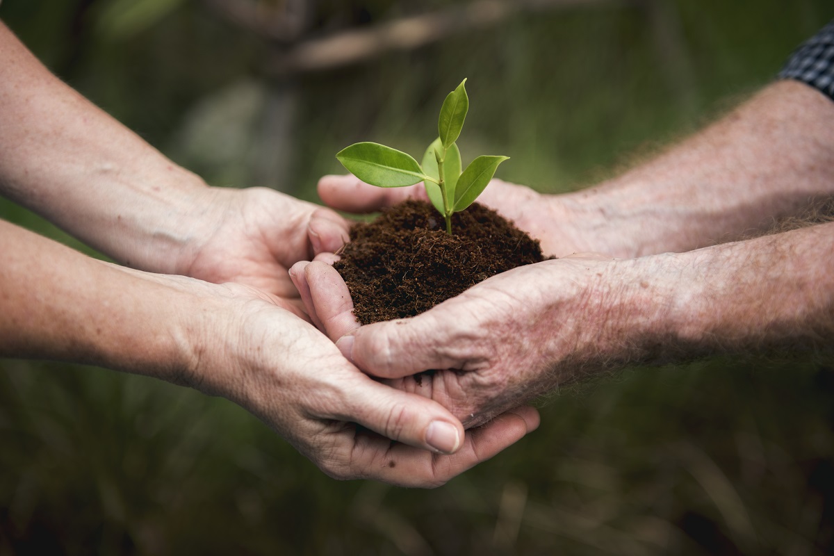 Sustentabilidade e consciência ecológica: responsabilidade e comprometimento com a vida